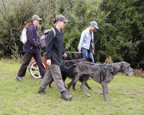 Honden Wandel 3-Daagse 2003